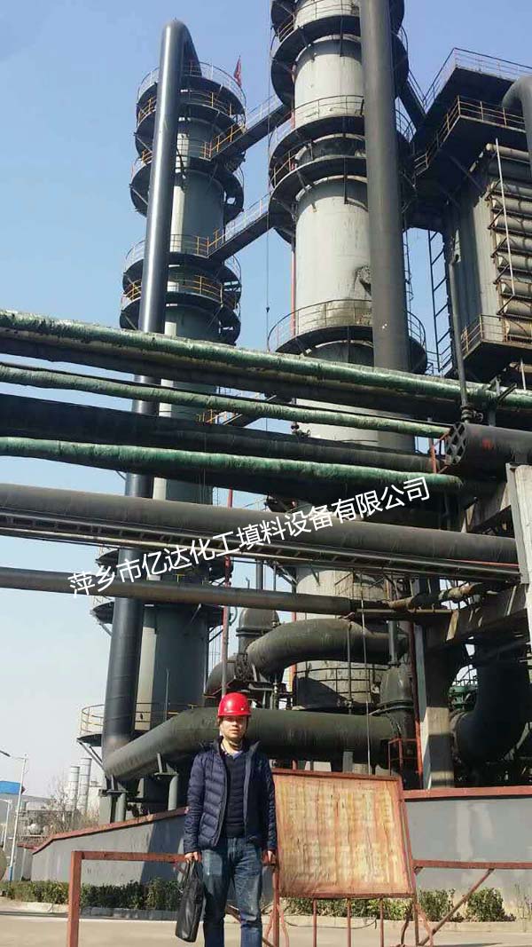 Benzene Stripping Tower and Benzene Scrubber Tower Internals Removal and Installation On-Site